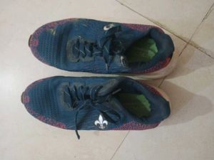 bond Street by red tape sport Shoes