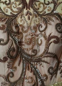 Elegant Ethnic Gown