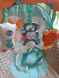 Portable Baby Rocker