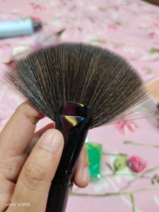 Fan brush