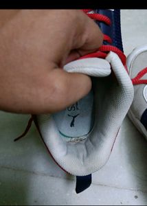 Puma Seattle Casuals For Men