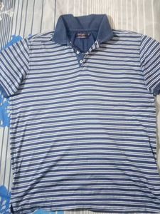 Allen Solly  Blue  And White  Stripe Polo T Shirt