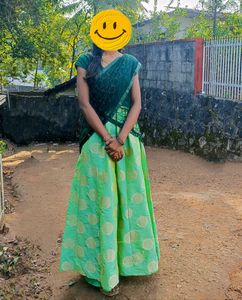 Pista Green Dhawani (skirt, blouse and dupatta)