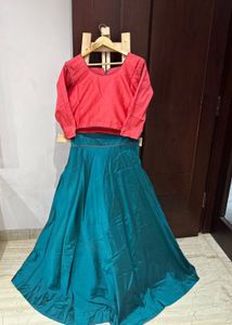 Embroidered Lehngha Choli Dress