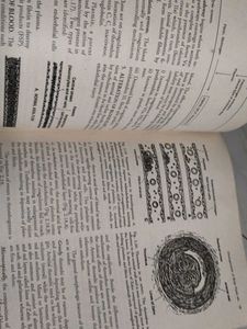 Textbook of Pathology