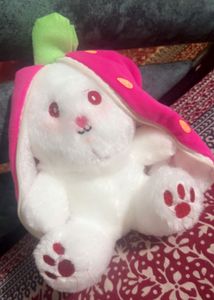Bunny Plush Toy