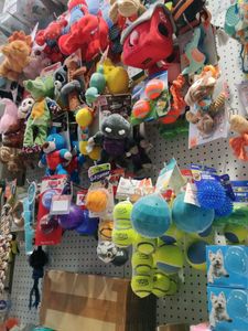 PET SHOP ALL CATEGORIES