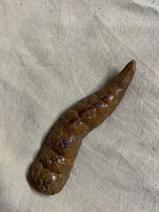 Decorative Showpiece Poo