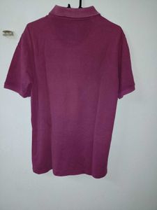 Beverly Hills Polo Club Orginal T-Shirt