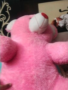 Pink Teddy Bear - Soft and Cuddly  big size coine❌