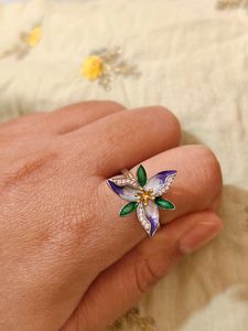 Giva 92.5 Ring Bhumi Collection