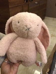 Blush Bunny Plush Toy With Freebie