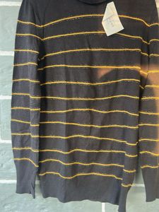 Striped Turtleneck Sweater