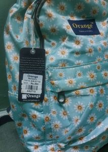 College/travelling Backpack