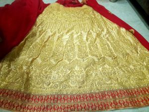 Gorgeous Gold Embroidered Lehenga saree