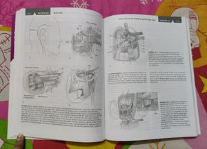 ENT diagnosis And Treatment Book