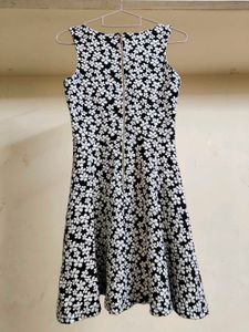 Floral Fit &amp; Flare Dress