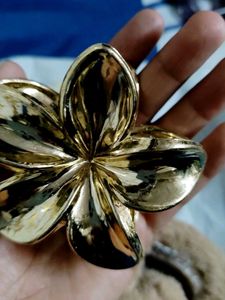 Latest Korean Flower Culture