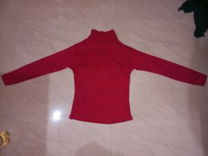Turtle Neck Top