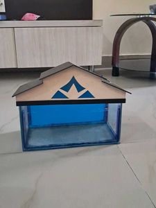 An Aquarium