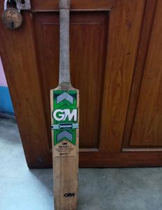 GM Cricket Bat
