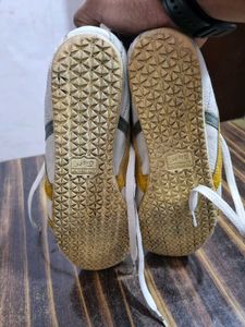 These  are 100%  original  tiger shoes