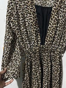 Leopard Print Mini Dress