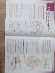 Clinical Neuroanatomy Textbook Vishram singh