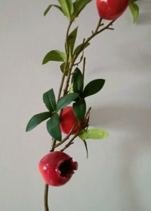 Home Centre&#39;s  Orange And Pomegranate Sticks