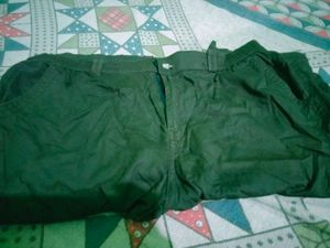 Cargo Shorts