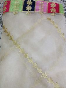 Bahut Hi Pyara Organza Dupatta Embroider