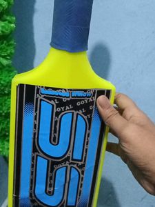 SG Safari Cricket Bat