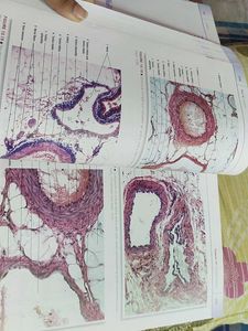 diFiore&#39;s Atlas of Histology