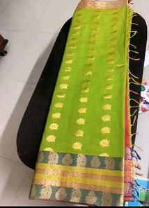 Festive  Wear Saree
