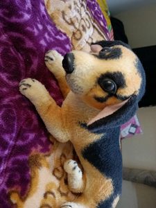 Cute Dog 🐕 Toy
