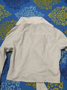 Crop Shirt
