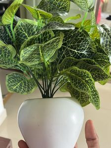 Artificial Plant