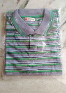 Striped Polo T-Shirt