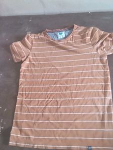 Striped Brown T-Shirt