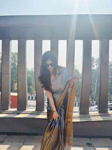 Elegant Grey &amp; Gold Saree With Blouse