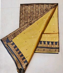 Elegant Saree