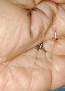 New 92.5 Hallmarked Screw Type Nosepin