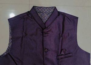 Stylish Plum Jacket