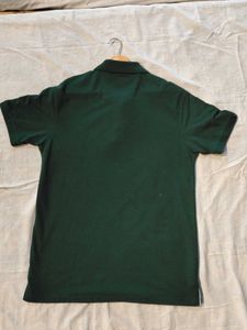 Dark Green Polo Shirt - Size 2XL