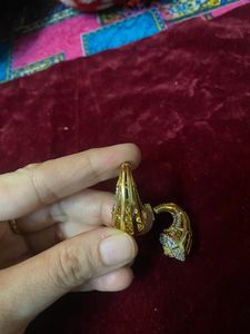 Exclusive Ad Designer Earings