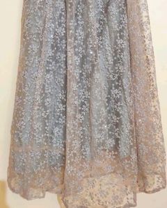 Shimmery Lehenga Choli ☺️✨🎉