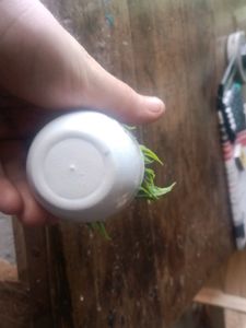 Cute ♥️😜 Artificial Pots Of 3 Pieces