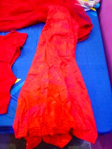 Red Embellished Saree With Blouse And Peticoat
