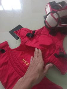 Baby Carrier