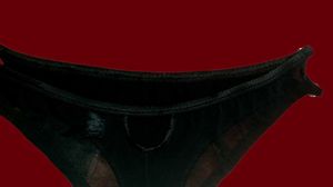 Black Lace Lingerie Bottom